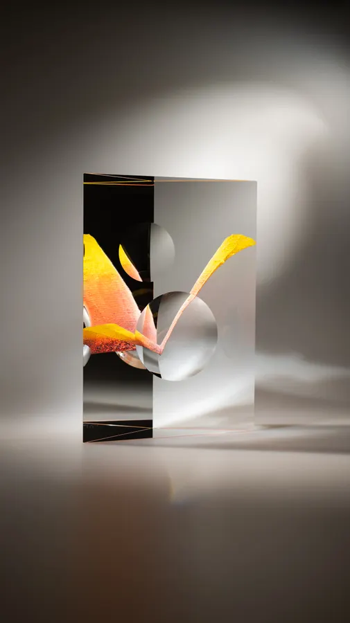 Bird, 2026, ,102602 &mdash; Andrej Jakab