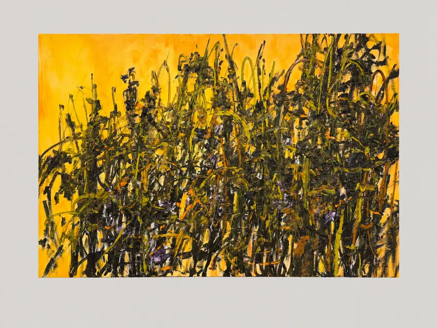 Goldenhour &mdash; Anita Vermeeren