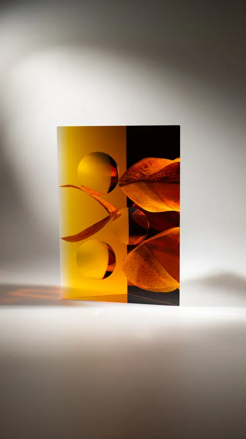 Connection, 2026, 102604 &mdash; Andrej Jakab
