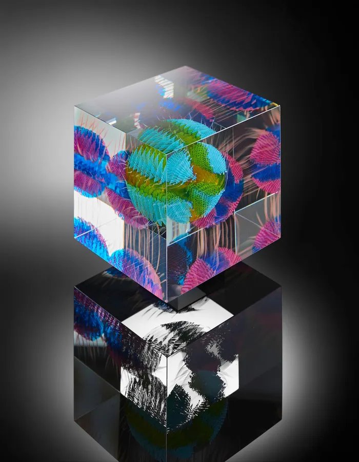 WTSBB I &mdash; Wilfried Grootens